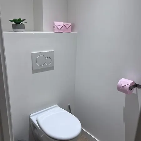 Διαμέρισμα Le Bijou De Valrose - 4 Bedroom With Pool Νίκαια